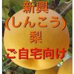 ショッピング梨 早割　梨　訳あり　新興2kg（4〜8玉入り）　送料無料　冬梨　2024年産予約