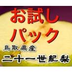 ショッピング梨 梨　訳あり　21世紀梨（デラックス）　５kg（10〜20玉入り）　送料無料　2024年産予約