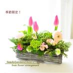 花 生花 フラワーアレンジメント  誕生日 フラワーギフト アレンジメント  スイートピー チューリップ 春