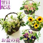 ���~ ���� ������ �� �t�����[�A�����W�����g ���� �M�t�g �������� ���� ������� ������ �Y�� ���O ���r���O  �� �s���N �� �O���[�� �y������  a-s ����