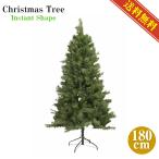 180cm Canadian tree вид память ветка широкий . не необходимо 