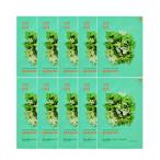 ホリカホリカ HOLIKA HOLIKA ピュア エッセンス マスク シート Pure Essence Mask Sheet 10枚入り 全12種類 ゆうパケット送料無料 韓国コスメ スキンケア