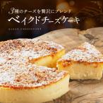 ベイクドチーズケーキ 4号 送料無料