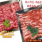 バーベキュー 食材 セット 焼肉セット 1kg BBQセット 肉 牛肉 バーベキュー 肉 セット カルビ 焼肉 牛ハラミ 大容量 4〜6人前
