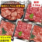 牛タン 薄切り メガ盛り 肉 BBQセット 肉 バーベキュー 食材 セット 焼肉セット 2.5kg 牛肉 バーベキュー 肉 セット 焼肉 大容量 6〜8人前