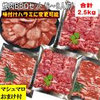 ショッピング牛タン バーベキュー 食材 焼肉セット バーベキューセット 肉 牛タン 牛肉 ハラミ 牛カルビ 食材 焼肉 BBQ 肉 BBQ 食材 2.5kg 6〜8人前