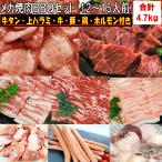 メガ盛り 肉 バーベキュー 食材 セット 焼肉セット 4.7kg ハラミ 焼肉 牛タン 薄切り BBQセット 肉 バーベキュー 肉 セット 牛肉 焼肉 12〜15人前