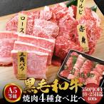 焼肉セット 和牛 焼肉 黒毛和牛 A5 食べ比べセット 400g 牛肉 ギフト 国産牛肉 焼肉用 肉 安い 国産牛 霜降り肉 誕生日 就職祝い 合格祝い