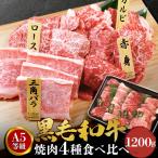 ショッピング焼肉 焼肉セット 和牛 焼肉 黒毛和牛 A5 食べ比べセット 1200g 牛肉 ギフト 国産牛肉 焼肉用 肉 安い 国産牛 霜降り肉 誕生日 就職祝い 大容量 メガ盛り 肉