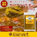 カレー粉 特製 カレーパウダー 100g 