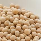  белый деталь 500g пачка рейс White Peas белый зеленый горошек to труба - деталь сухая фасоль 
