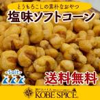 ナッツ ソフトコーン（塩味）350g トウモロコシ 【ゆうパケット送料無料】
