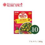 ショッピングレトルトカレー レトルトカレー MTR アルメティ 10個 (300g×10個) Alu Methi