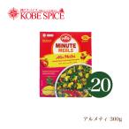 レトルトカレー MTR アルメティ 20個 (300g×20個) Alu Methi