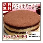 誕生日ケーキ バースデーケーキ チョコレートケーキ ティラミス 送料無料 プレゼント お返し 2019 お菓子 クリスマスケーキ 入学祝い