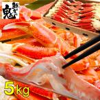 16時まで当日発送 メガボリューム ボイルズワイガニ 5kg 肩脚 ずわい ズワイ ボイル ずわいがに