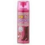 JFくつ＆ブーツ消臭Agスプレー 220ml 【北海道・沖縄は別途送料必要】