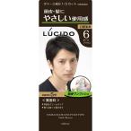 Yahoo! Yahoo!ショッピング(ヤフー ショッピング)株式会社マンダム ルシード ワンプッシュケアカラー 〈6〉ダークブラウン 【医薬部外品】＜無香料＞＜男性向け白髪染め＞ 【北海道・沖縄は別途送料必要】