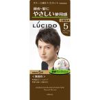 Yahoo! Yahoo!ショッピング(ヤフー ショッピング)株式会社マンダム ルシード ワンプッシュケアカラー 〈5〉ナチュラルブラウン 【医薬部外品】＜無香料＞＜男性向け白髪染め＞ 【北海道・沖縄は別途送料必要】