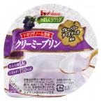 やさしくラクケア クリーミープリン ブルーベリーチーズケーキ風味 63g×48個セット (発送まで6-10日間程度) (キャンセル不可商品)
