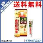 【第3類医薬品】【●メール便にて送料無料 代引不可】 【発P】小林製薬 生葉口内塗薬 20g