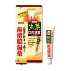 【第3類医薬品】【発P】小林製薬 生葉口内塗薬 20g 【北海道・沖縄は別途送料必要】