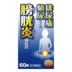 尿、膀胱