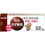 【第3類医薬品】 株式会社明治 きず軟膏 5g ＜キズ・やけどの殺菌・消毒に＞