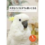 大きなインコとオウム飼いになる: 育て方や食事、グッズ、コミュニケーションまで