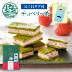 母の日限定 カーネーションタグ付き チョベリッ茶 母の日 お菓子 プレゼント ギフト 2025 京都ヴェネト 個包装 クッキー 抹茶 スイーツ
