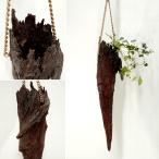 .. времена стильный натуральное дерево структура . цветок сырой подвешивание цветок сырой высота 61cm подвешивание ниже декоративное растение висячий растения вешалка коряга 1