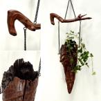 .. времена стильный натуральное дерево структура . цветок сырой подвешивание цветок сырой высота 45cm подвешивание ниже декоративное растение висячий растения вешалка коряга 2