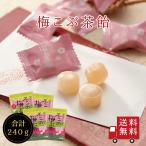 【送料無料】不二の梅こぶ茶飴 60g 4個セット お菓子 お試し おうち時間 プレゼント 手土産 お取り寄せ メール便 1000円ポッキリ 梅こぶ茶 飴
