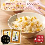 【送料無料】たっぷりとうもろこしご飯2合用 2個セット おにぎり お弁当 混ぜご飯の素 炊き込みご飯の素 時短 簡単 便利 炊くだけ 混ぜるだけ メール便