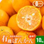 有機 ポンカン 訳あり 10kg みかん 柑橘 ミカン ぽんかん フルーツ 果物 くだもの