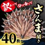 ショッピングワケアリ 訳あり さんま開き 40枚 国産 サンマ 秋刀魚 開き ワケアリ わけあり 訳あって 分け合って 開き さんま 北海道 産 小分け 冷凍 干物 魚 魚介 大容量 人気 訳あり