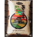 胚芽米5ｋｇ令和7年産新米あきたこ...