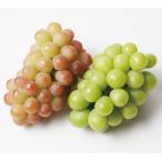  для бытового использования есть перевод автомобиль in мускат мускат biore набор 4. примерно 1.5kg.. длина отправка biore окраска . с дефектом 