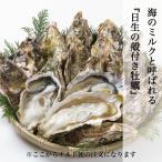 ... имеется примерно 10kg примерно 100-130 шт передний и задний (до и после) день сырой ... устрица день сырой. .. нагревание для . имеется .. Seto внутри море наличие прямая поставка от производителя наклон рейс 