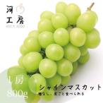  подарок автомобиль in мускат примерно 800g и больше Okayama мускат вид нет кожа .. еда ...9 месяц средний . примерно из отправка предположительно 