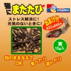 猫 おもちゃ またたび 猫 マタタビ 実 ストレス 元気がない コミュニケーション 与えやすい ネズミ ドギーマン 猫にまたたび 実 おまけ付 15g