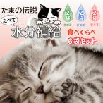 たまの伝説 パウチ ６袋 猫 水分補給 脱水症状 熱中症 エアコン乾燥 乳酸菌 食物繊維 お腹の調子 たまの伝説たべて水分補給 かつお 30g×6袋