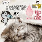 たまの伝説 パウチ 12袋 猫 水分補給 脱水症状 熱中症 エアコン乾燥 乳酸菌 食物繊維 お腹の調子 たまの伝説たべて水分補給 まぐろ 30g１２袋