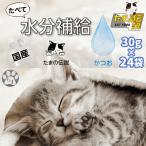 たまの伝説 パウチ 24袋 猫 水分補給 脱水症状 熱中症 エアコン乾燥 乳酸菌 食物繊維 お腹の調子 たまの伝説たべて水分補給 かつお 30g２４袋