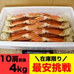 【お一人様2コまで 在庫限り】4kg 大