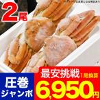 ズワイガニ　姿　超特大　ジャンボ　2尾で2kg前後（1尾あたり1kg前後）（カニ味噌）（かに ずわい蟹 ずわいがに）