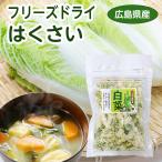 広島県産　フリーズドライ白菜　5袋セット