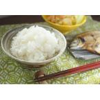 Yahoo! Yahoo!ショッピング(ヤフー ショッピング)おいしい熊本の米　令和6年産　精白米　南関郷の米　ひのひかり 5kg