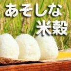 令和6年産 熊本のおいしいお米 山鹿のお米 ひのひかり 5kg 精白米 おいしいお米 白米 おこめ お米 熊本産 純国産米100%