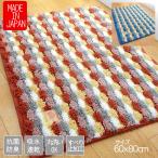 バスマット 60 × 80 cm 洗える 丸洗い こだわり 大判サイズ 抗菌 防臭 吸水 速乾 日本製 送料無料